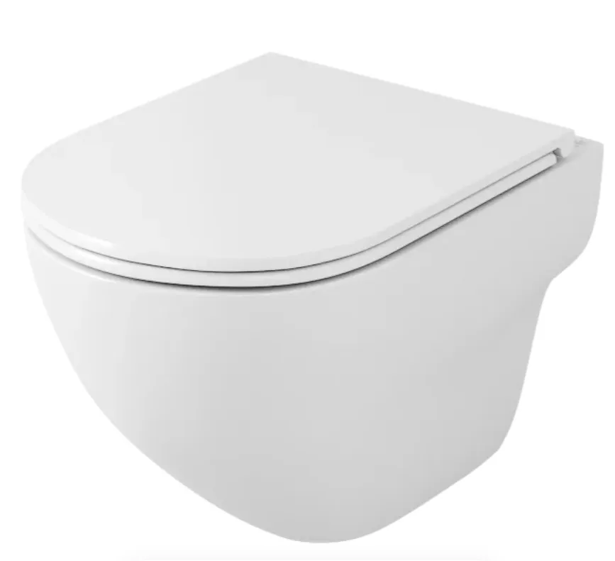 Унитаз Owl 1975 Wave TOWLT190801 подвесной безободковый с сиденьем микролифт