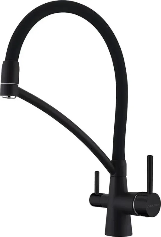 Смеситель для кухонной мойки Paulmark Siеgen Si213111-401TB