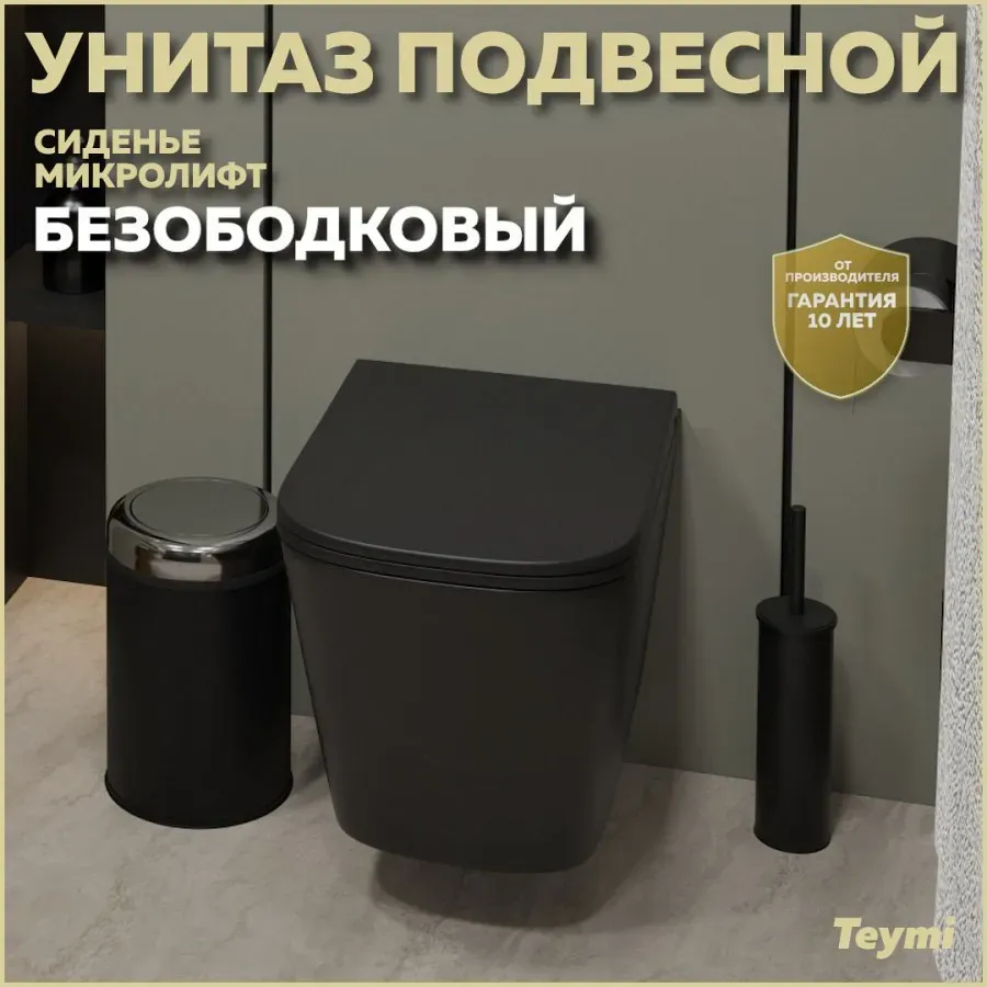 Унитаз подвесной Teymi Eva S W00083 подвесной безободковый с микролифтом
