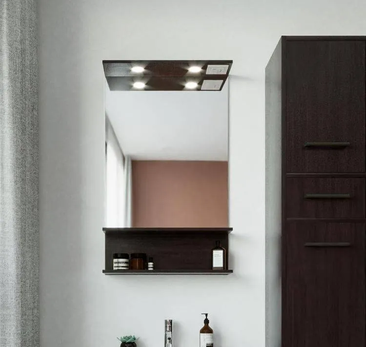 Зеркало Бриклаер Чили 55x90 4627125415043 с полочкой и подсветкой