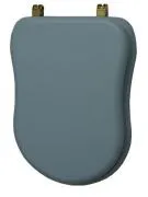 Крышка-сиденье Caprіgo 3813 SFE-BB-L817 с микролифтом