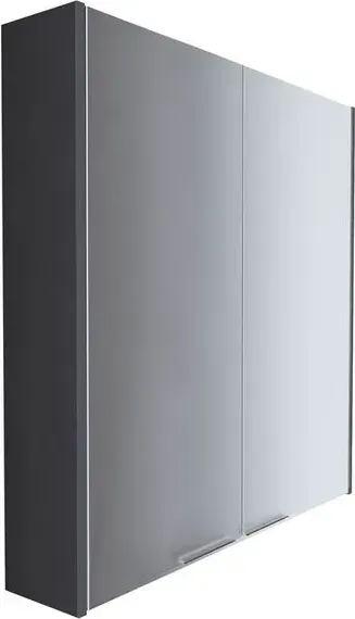 Зеркало-шкаф 1Marka Gaula 60x80 У92541