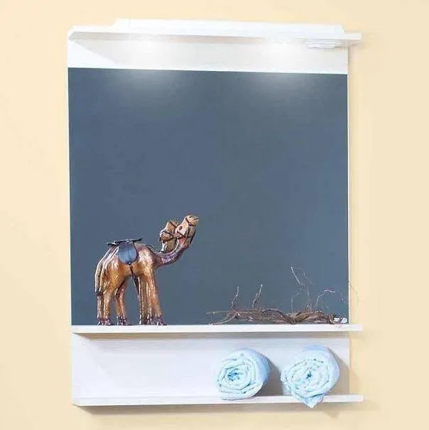 Зеркало Бриклаер Чили 70x90 4627125414947 с полочкой и подсветкой