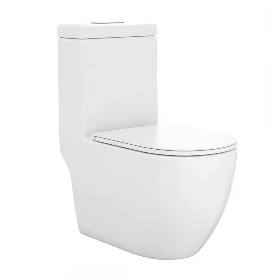 Унитаз-компакт Watersense Milana W00122 напольный безободковый с микролифтом