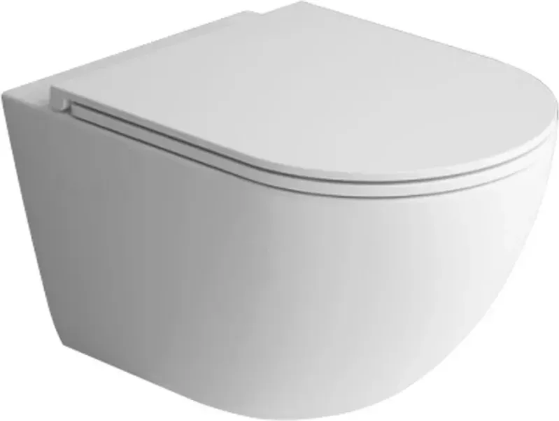 Унитаз Esbano Gardena ESUPGARD49TW подвесной безободковый с сиденьем микролифт