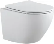 Унитаз Aquanet Cetus 2.0 W 243541 подвесной безободковый с микролифтом