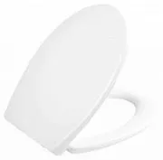 Крышка-сиденье BelBagno BB2004SC с микролифтом