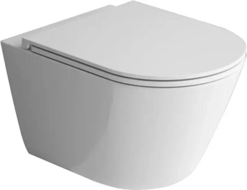 Унитаз Esbano Clavel ESUPCLAV53TW подвесной безободковый с сиденьем микролифт