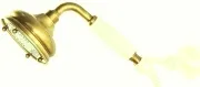 Душевая лейка Caprigo Parts 99-160-oro