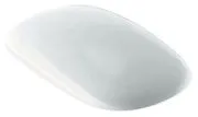 Крышка-сиденье Geberit Citterio 500.540.01.1 с микролифтом