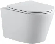 Унитаз Aquanet Atago 2.0 W 243549 подвесной безободковый с микролифтом
