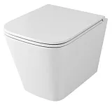 Унитаз Owl 1975 Vatter TOWLT190403S подвесной безободковый с сиденьем микролифт фото 1