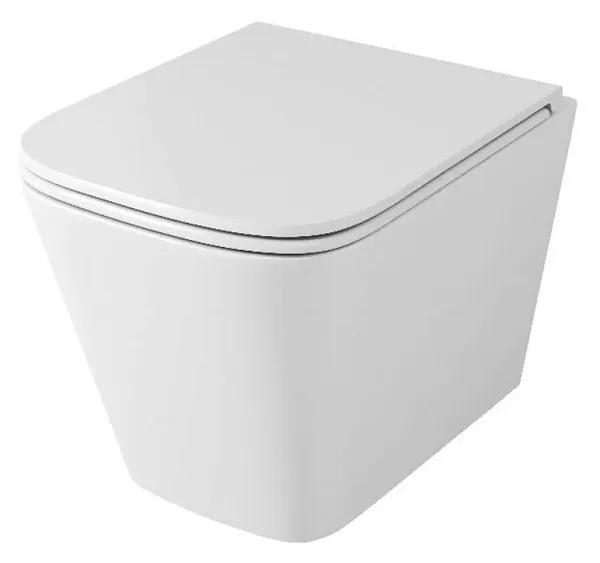 Унитаз Owl 1975 Vatter TOWLT190403S подвесной безободковый с сиденьем микролифт фото 1