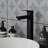 Смеситель для раковины PAINI Viva Style P4YO205LL фото 5