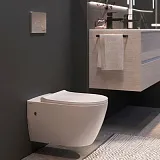 Унитаз Berges Wasserhaus Mascon Rimless 082128 подвесной безободковый с микролифтом фото 9