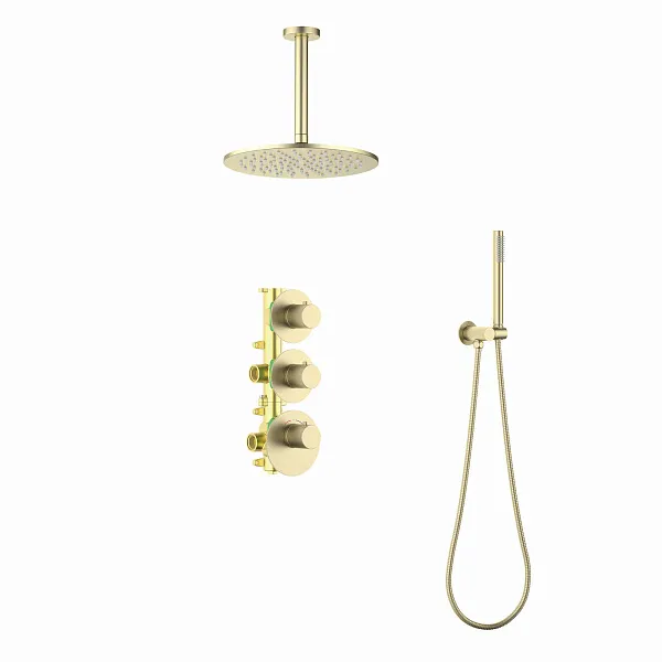 Душевой комплект TIMO Saona SX-2399/17SM фото 1