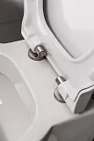 Крышка-сиденье BelBagno Sabrina BB122SC с микролифтом фото 2