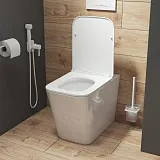 Унитаз Iddis Bild BILRDSEi26 приставной с сиденьем микролифт фото 6