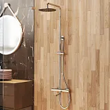 Душевая стойка PAINI Cox 78CR687THSSD250F1B фото 2