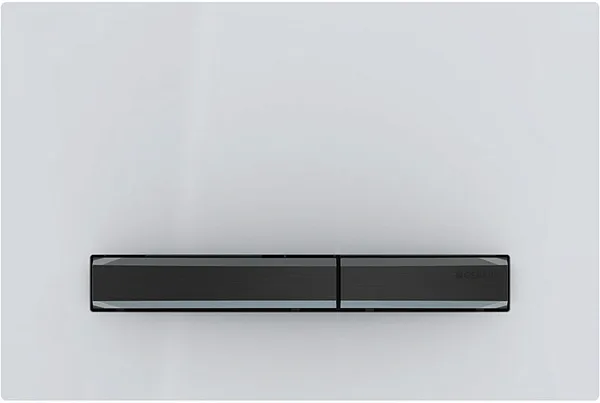 Смывная клавиша для унитазов Geberit Sigma 50 115.671.11.2 фото 1