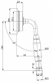 Душевая лейка Caprigo Parts 99-505-crm фото 2