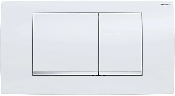 Смывная клавиша для унитазов Geberit Twinline 30 115.899.KJ.1 фото 1