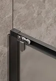 Душевая перегородка Timo T02 фото 4