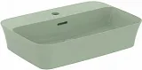 Раковина Ideal Standard Ipalyss 55 см E2077X9 фото 1