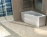 Боковой экран для ванны Aquatek Медея 90 см EKR-B0000030 левый фото 2