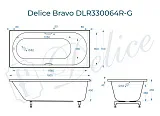 Ванна из искусственного камня Delice Bravo DLR330064R-G фото 1