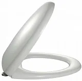 Крышка-сиденье Jacob Delafon Presqu'ile E70016-00 с микролифтом фото 1