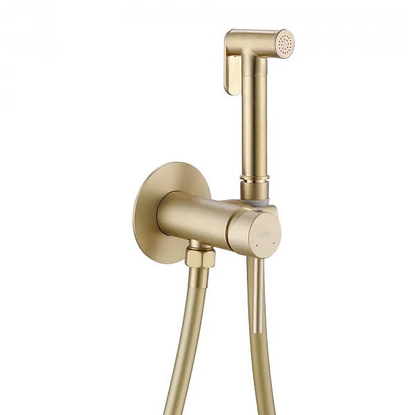 Гигиенический душ ABBER Wasser Kreis AF8125G фото 1