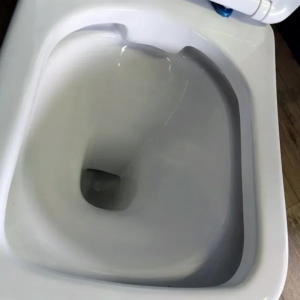Унитаз-компакт Watersense Lana W00137 напольный безободковый с микролифтом фото 11