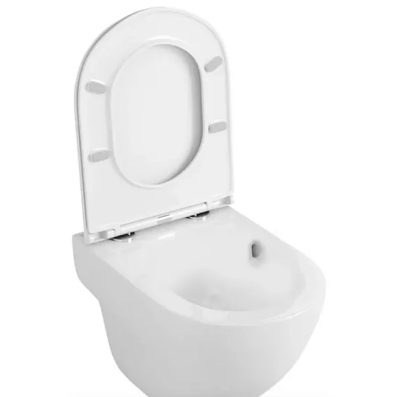 Унитаз Owl 1975 Wave TOWLT190801 подвесной безободковый с сиденьем микролифт фото 6