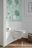 Унитаз Jacob Delafon Modern Life E77725-0 подвесной безободковый фото 4
