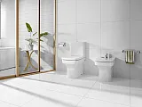 Крышка-сиденье Roca Dama-N 801782004 с микролифтом фото 3