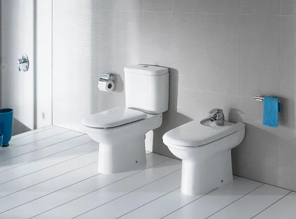 Крышка-сиденье Roca Giralda 801462004 с микролифтом фото 2