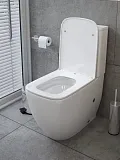 Унитаз-компакт Teymi Mandy Vortex W01855 напольный безободковый с микролифтом фото 12