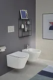 Крышка-сиденье Jacob Delafon Rodin+ E23280-00 с микролифтом фото 4