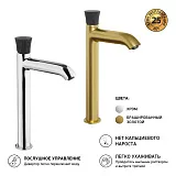 Смеситель для раковины PAINI Domus 18PJ205PZLL фото 2