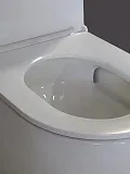 Унитаз-компакт Watersense Milana Vortex W00744 напольный безободковый с микролифтом фото 9