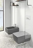 Смывная клавиша для унитазов Villeroy & Boch ViConnect E303 92216168 фото 2