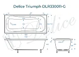 Ванна из искусственного камня Delice Triumph DLR330011-G фото 1