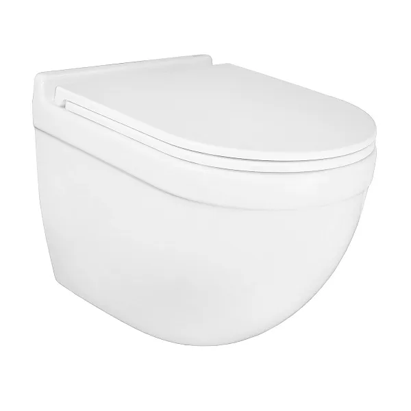 Унитаз Azario Fora AZ-0017-UQ1 подвесной безободковый с сиденьем микролифт фото 2