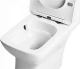 Унитаз-компакт Teymi Nancy Vortex W00750 напольный безободковый с микролифтом фото 12