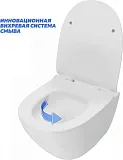 Унитаз подвесной Teymi Milana Pro Vortex W00159 подвесной безободковый с микролифтом фото 9