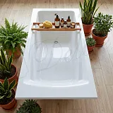 Ванна из искусственного камня Delice Respect DLR330045-G фото 8