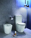 Крышка-сиденье Jacob Delafon Rodin+ E23280-00 с микролифтом фото 3