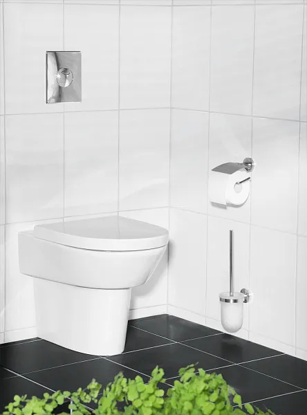 Смывная клавиша для унитазов Grohe Skate 38862000 фото 3