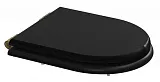 Крышка-сиденье Caprіgo York KFE-YB-B032 с микролифтом фото 1